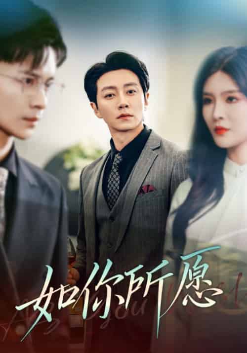 如你所愿（61集全）杨妍-搜外项目网