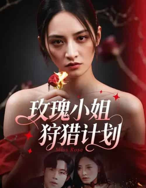 玫瑰小姐狩猎计划 （60集全）敖日格乐＆李虹艺-搜外项目网