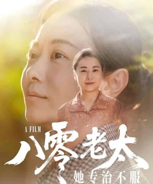 八零老太她专治不服（100集）沈頔卿＆李晓-搜外项目网