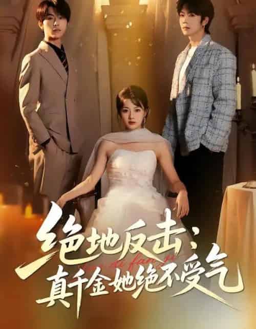 绝地反击：真千金她绝不受气（68集全）丁紫含＆肖康＆梁进-搜外项目网