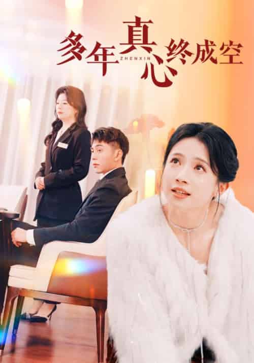 多年真心终成空（50集）李可乐-搜外项目网