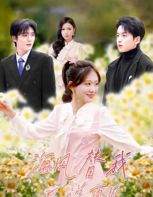 海风替我说再见（80集全）张昊旸＆柴慧欣-搜外项目网