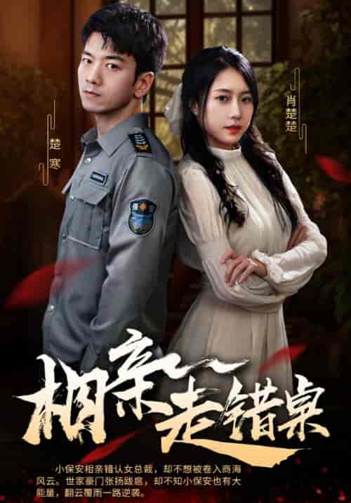 相亲走错桌（88集全）楚寒＆肖楚楚-搜外项目网