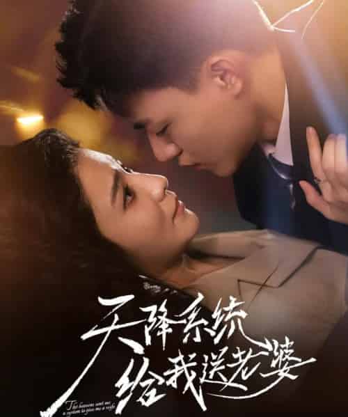 天降系统给我送老婆(80集全)王三北&崔栩淙-搜外项目网