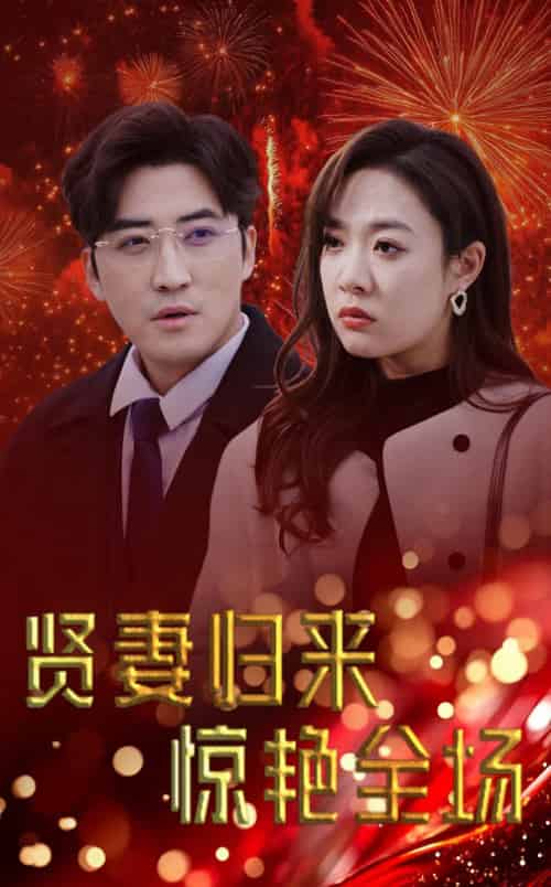 贤妻归来惊艳全场&儿媳惊艳全场(55集全)李岩松&李心玥-搜外项目网