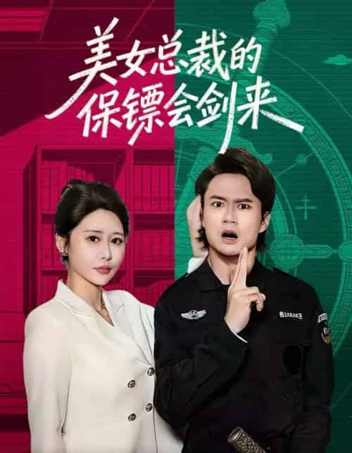 美女总裁的保镖会剑来（80集全）李旭东＆邰靖懿-搜外项目网