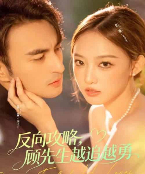 反向攻略,顾先生越追越勇(69集全)韩淼&曹璐-搜外项目网