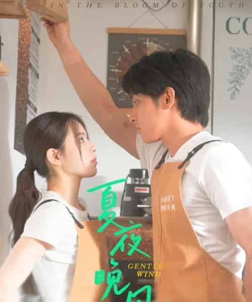 夏夜晚风（12集）何衍朝＆蔡子伊-搜外项目网