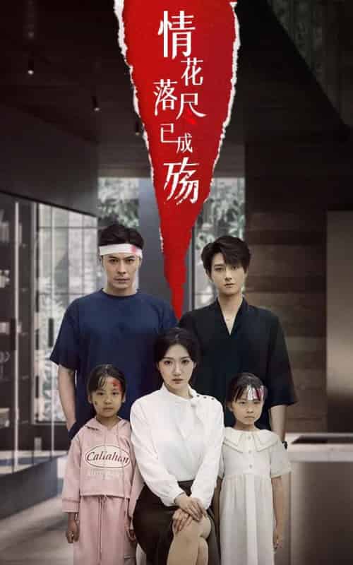 情花落尽已成殇（60集）景露＆朱鹏-搜外项目网