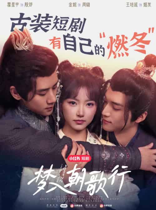 梦入朝歌行(40集)王培延&包金妮&霍星宇-搜外项目网