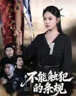 不能触犯的条规（50集全）张亚迪＆杨曦麟-搜外项目网