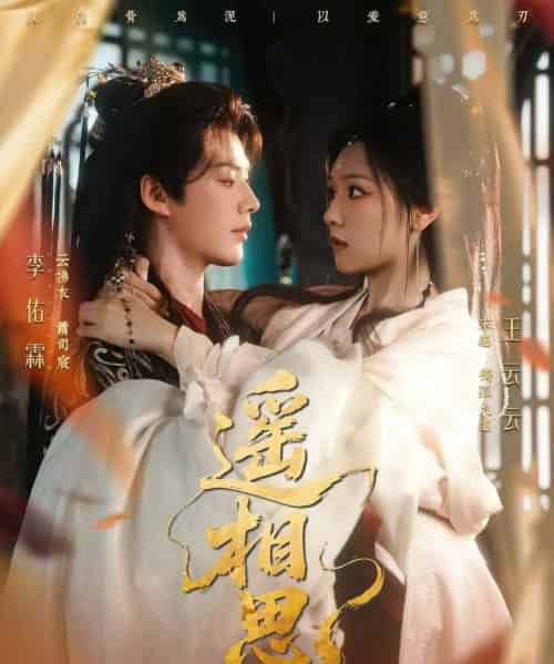 遥相思（117集全）李佑霖＆王云云-搜外项目网