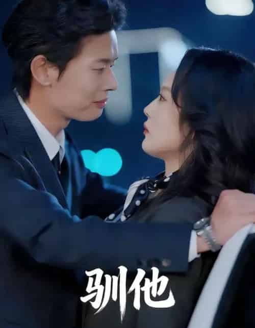 驯他（80集全）李启骏＆王昕阳-搜外项目网