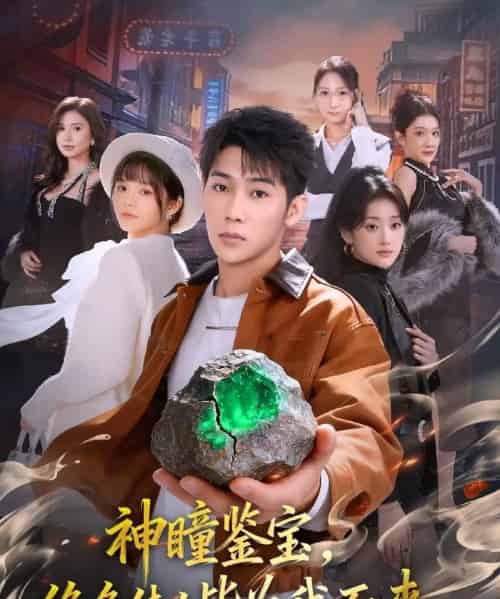 神瞳鉴宝,绝色佳人皆为我而来(76集全)赵彦博&林柒予-搜外项目网