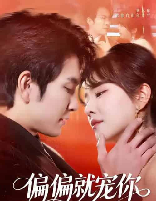 偏偏就宠你（82集全）王已歌＆李雪丹-搜外项目网