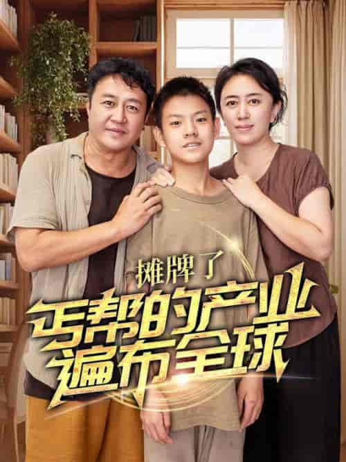 摊牌了，丐帮的产业遍布全球（66集全）-搜外项目网