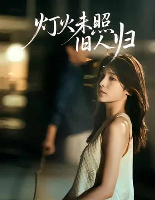 灯火未照旧人归（60集全）董文轩＆张达塬-搜外项目网