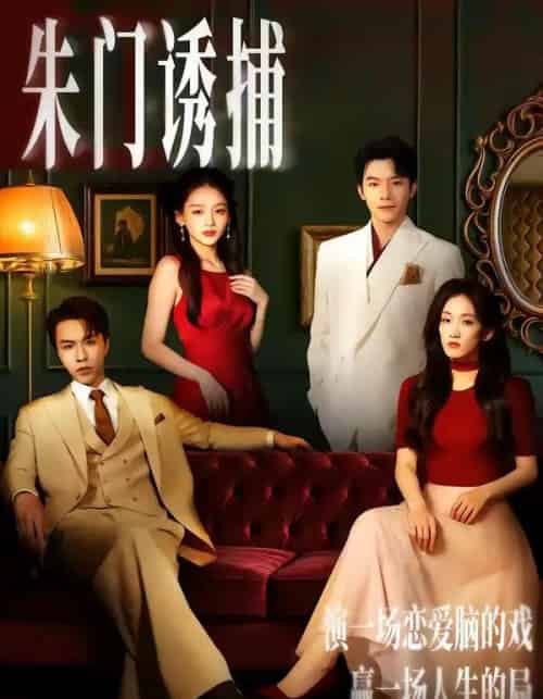 朱门诱捕（45集全）李红雨＆王典典-搜外项目网