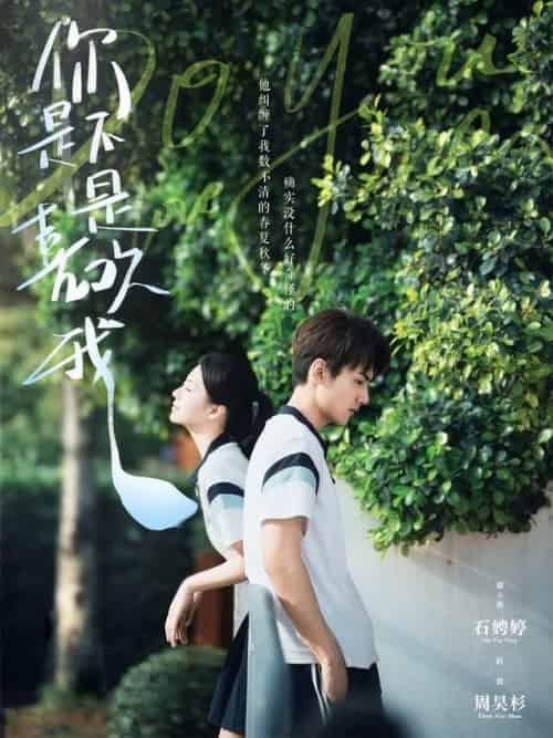 你是不是喜欢我(68集全)周昊杉&时童-搜外项目网
