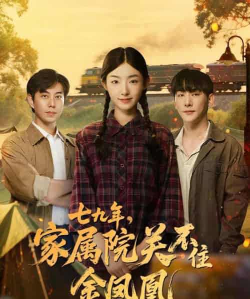 七九年家属院关不住金凤凰(60集)于轩鸿灏&牛静捷-搜外项目网