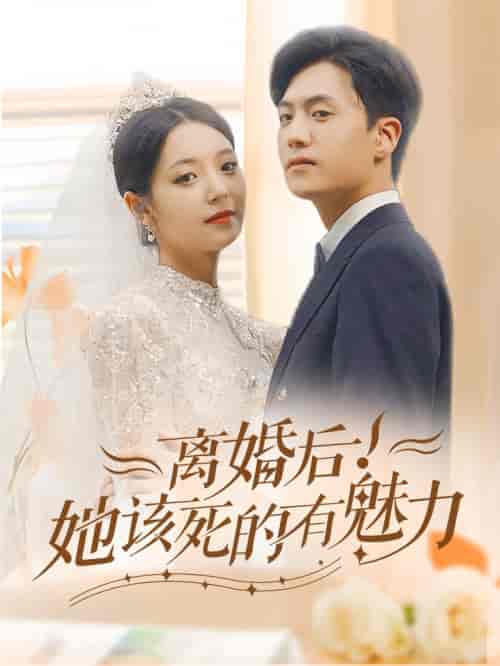离婚后，她该死的有魅力（87集）-搜外项目网