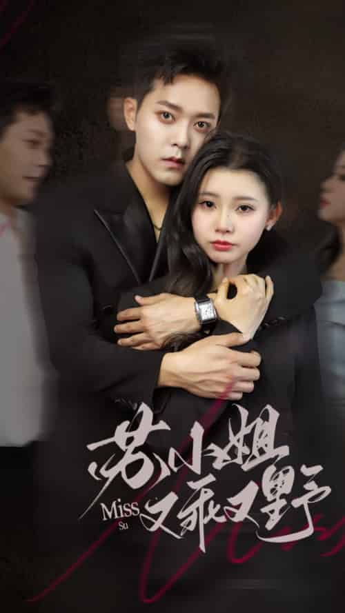 苏小姐又乖又野（51集）于珂然＆李丫丫-搜外项目网