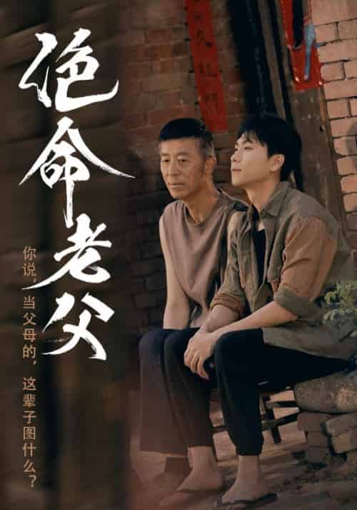 绝命老父(91集)顾沅真&高洁慧-搜外项目网