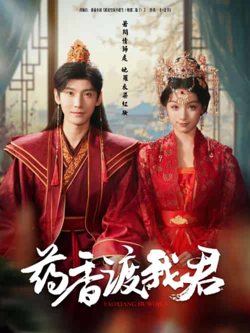 药香渡我君(62集)宁显周&刘奕彤-搜外项目网