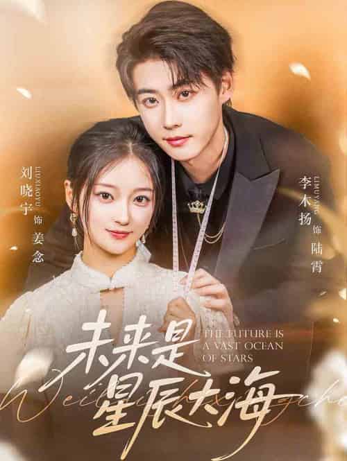 未来是星辰大海（70集）李木扬＆刘晓宇-搜外项目网