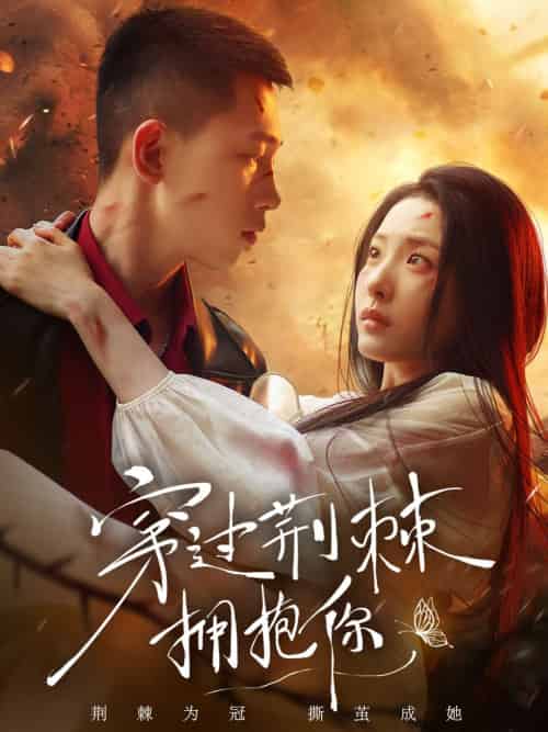 穿过荆棘拥抱你（135集）李梦然＆澄芓-搜外项目网