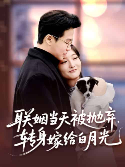 联姻当天被抛弃,转身嫁给白月光(90集)孟瑞&马维丽-搜外项目网