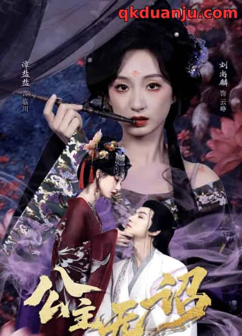 公主无诏＆红绫三尺落朱墙（60集全）刘尚麟＆谭盐盐-搜外项目网