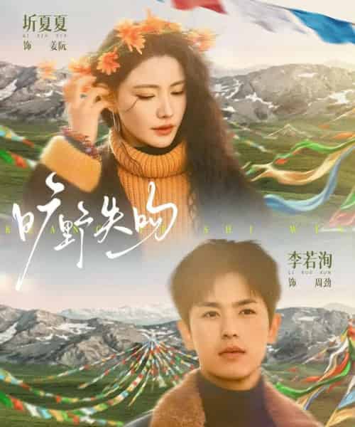 旷野失吻（90集全）李若洵＆圻夏夏-搜外项目网