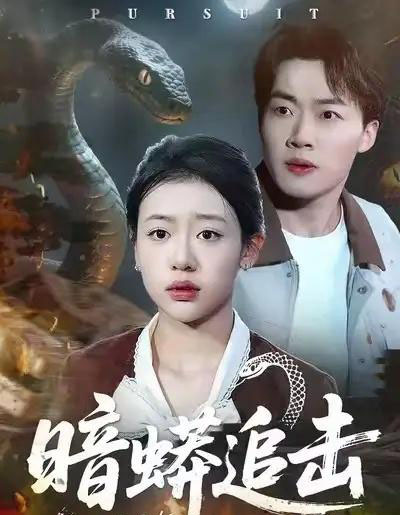 暗蟒追击（35集全）王盈心＆赵文硕-搜外项目网