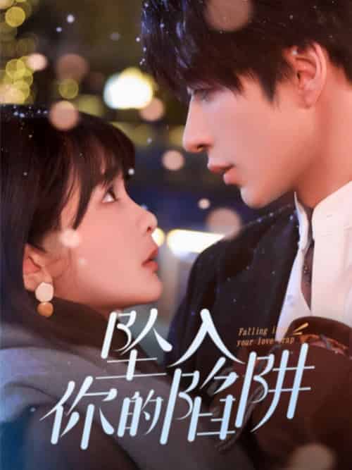 坠入你的陷阱（60集全）范晓东＆杨馥羽-搜外项目网
