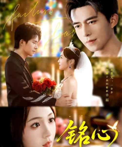 铭心（98集全）乔佳乐＆张楸梓-搜外项目网