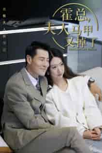 总裁夫人惹不起＆霍总，夫人马甲又掉了（71集）-搜外项目网