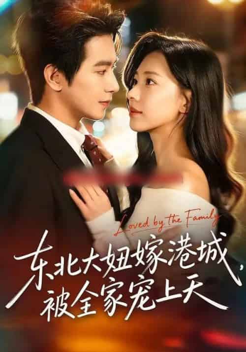 东北大妞嫁港城，被全家宠上天（71集全）王浩翔＆崔一梁-搜外项目网