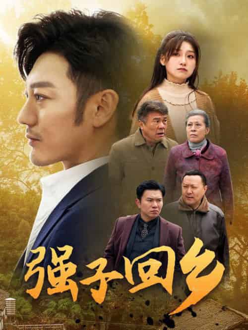 强子回乡（35集）谢海青-搜外项目网