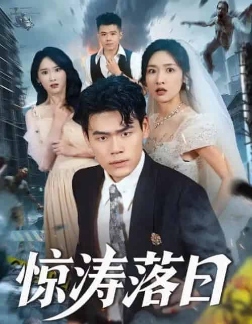 惊涛落日（60集全）王海洋＆张星禾-搜外项目网