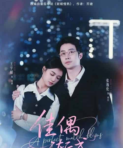 佳偶渐成（71集全）张逸伦＆王宇婧-搜外项目网