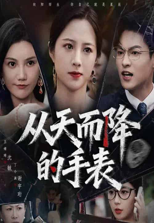 从天而降的手表（45集全）王婧琦＆丁小满-搜外项目网