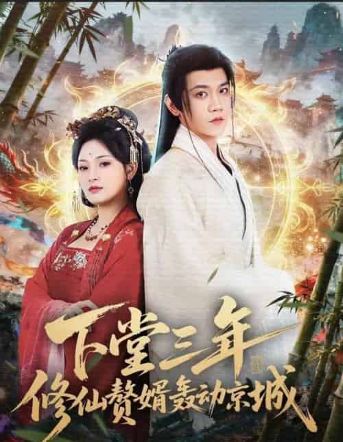 下堂三年修仙赘婿轰动京城（60集全）刘雪君＆苗雨峤-搜外项目网