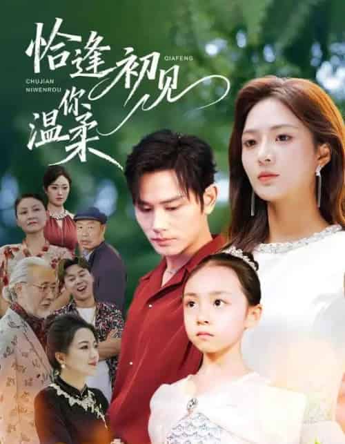 恰逢初见你温柔(86集全)曹景皓&刘美娜-搜外项目网