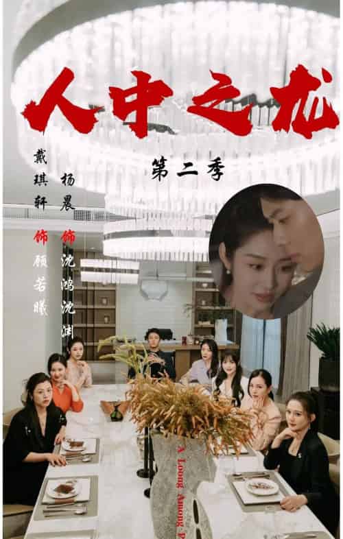 人中之龙第二季(101集全)戴琪轩&杨晨-搜外项目网