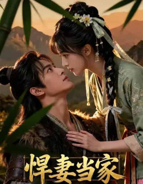 悍妻当家（52集全）AI-搜外项目网