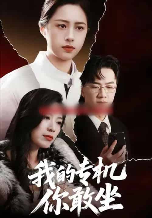我的专机你敢坐(62集全)王婧琦&周家洪-搜外项目网