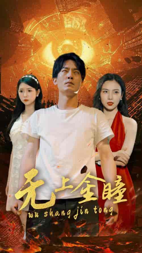 无上金瞳（80集）-搜外项目网