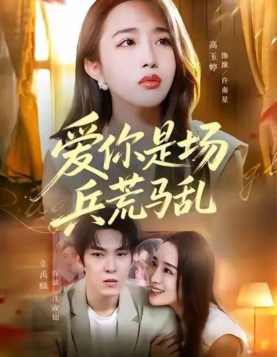 爱你是场兵荒马乱(50集全)张禹麟&高玉婷-搜外项目网