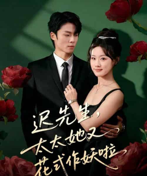 迟先生，太太她又花式作妖啦（61集全）杨晨＆邵依蕊-搜外项目网